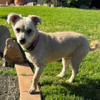 Photo of Betsy & Nigel