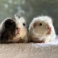 Photo of Taylor & Swift