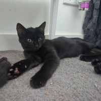 Photo of Cherry 🍒