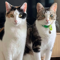 Photo of Cali & Penny💗