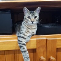 Photo of Pete