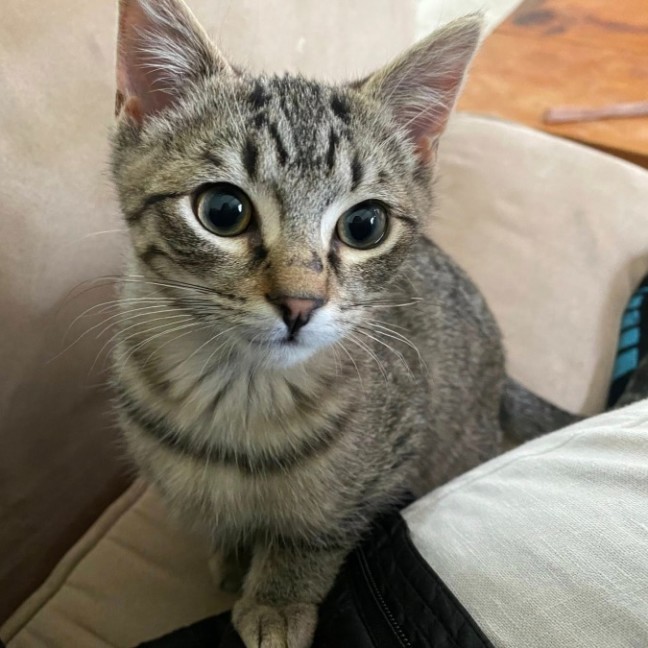 Photo of Calvin