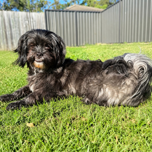 Photo of Lando