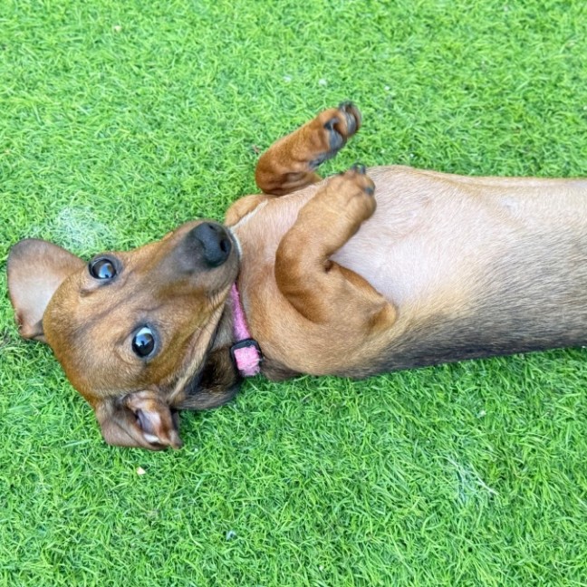Photo of Myla