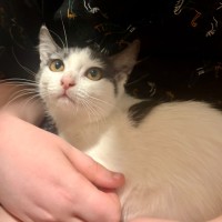 Photo of 👣 Apprentice 👣