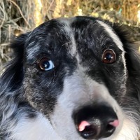 Photo of Zxander