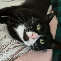 Photo of Dolores