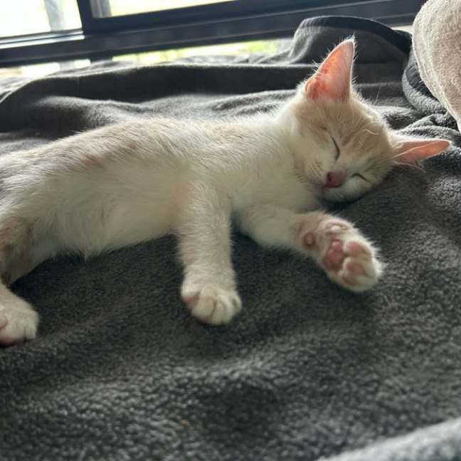Photo of Ralph