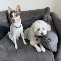 Photo of Oscar And Tilly Tamblyn