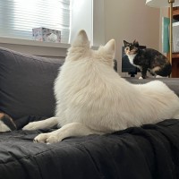 Photo of Cara & Gertie