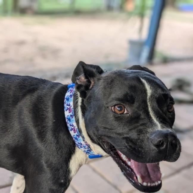 Photo of Maggie 