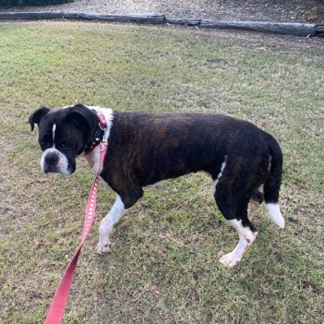 Photo of Molly