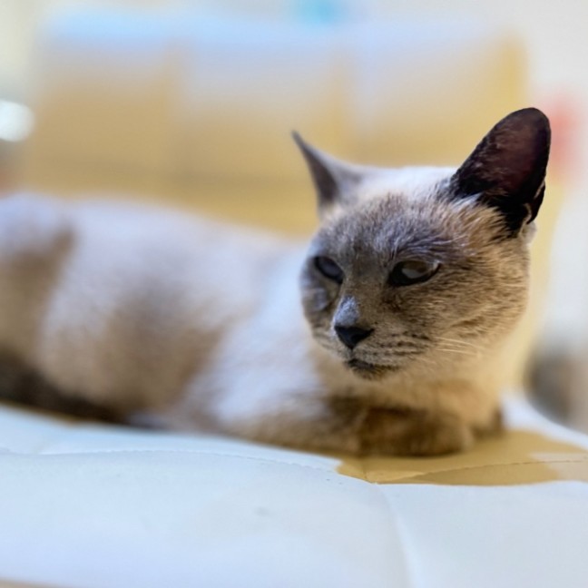 Photo of Audrey