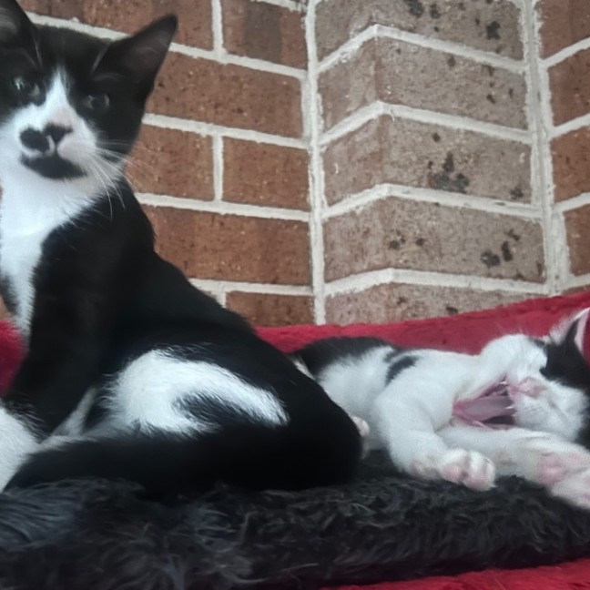 Photo of Parkway And James Bond 🥰