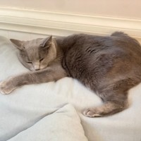 Photo of Joy