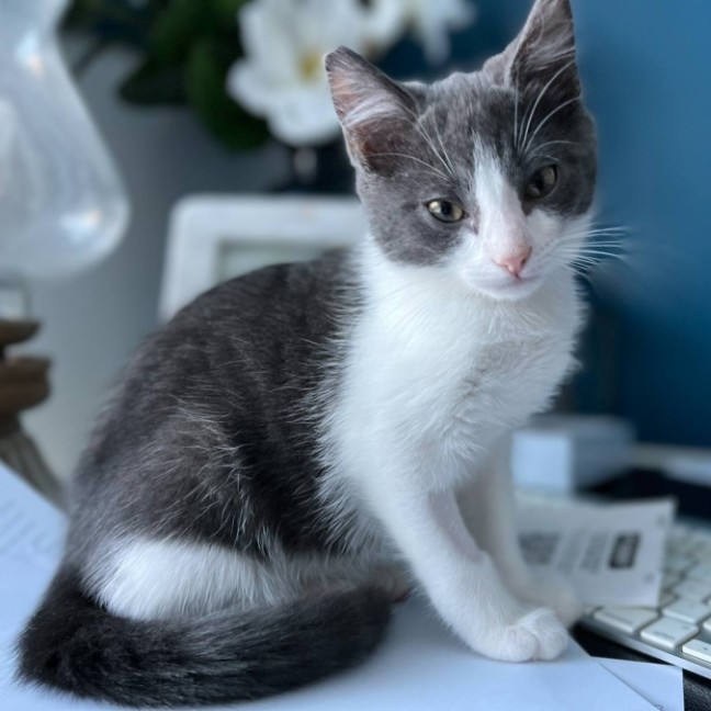 Photo of 💙 Kaycee 💙