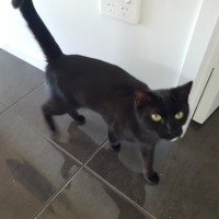 Photo of Gracie