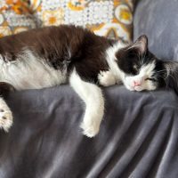 Photo of Vinnie