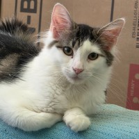 Photo of Dotty