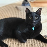Photo of Luna & Noctis