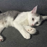 Photo of Jethro