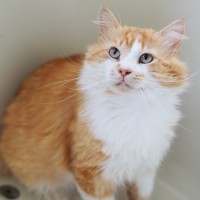 Photo of Harry
