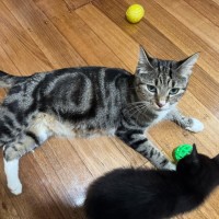 Photo of Alice