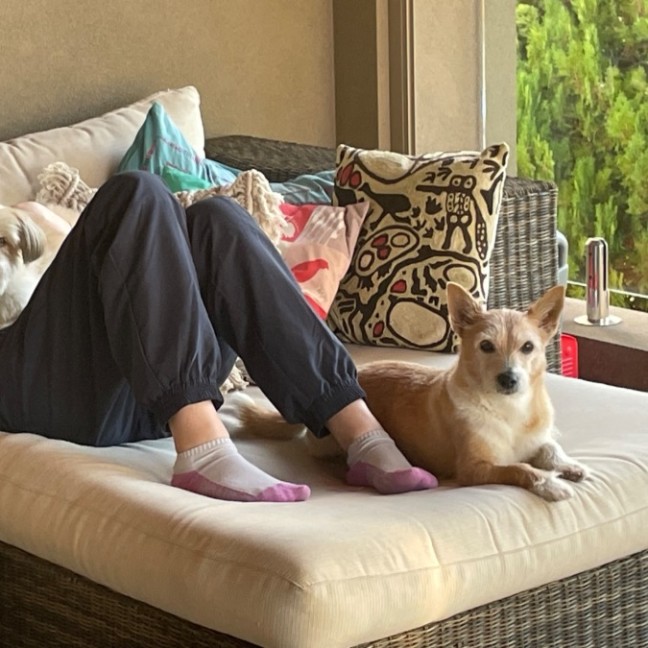 Photo of Toby 
