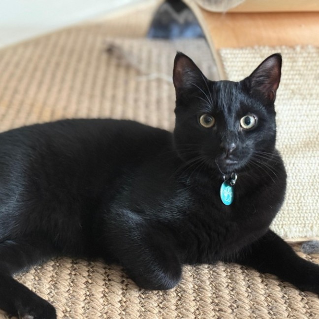 Photo of Luna & Noctis