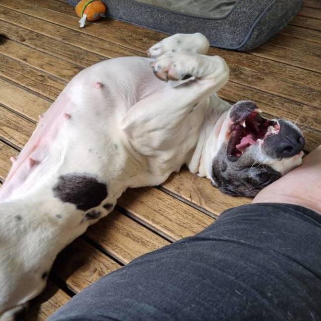 Photo of Nerida (Aka Neri)