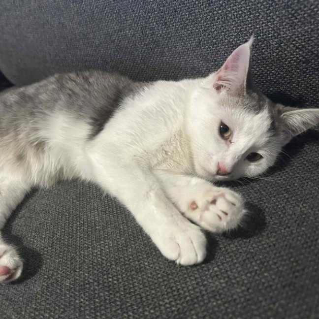 Photo of Jethro