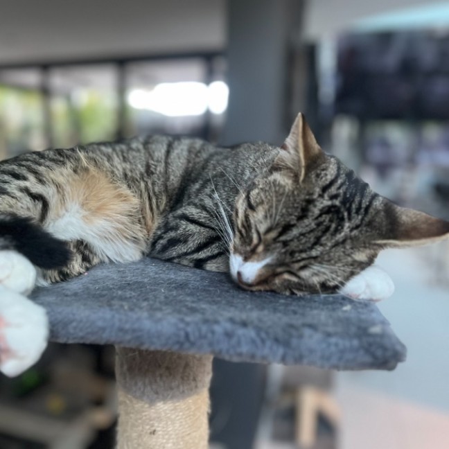 Photo of Jack