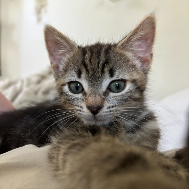 Photo of Marley