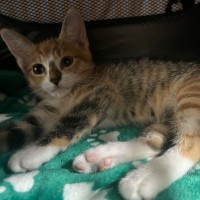 Photo of California 🇺🇸 