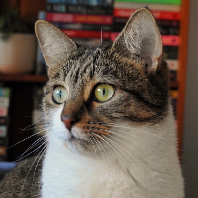 Photo of Holly