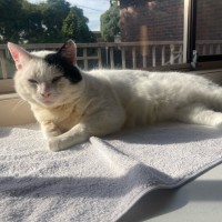 Photo of Horace & Blackie 