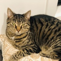 Photo of Jude