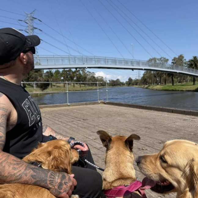 Photo of Powderfinger