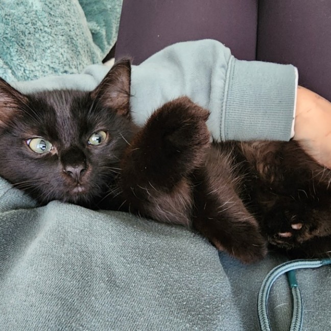Photo of Sabbi