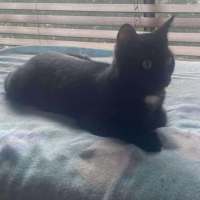 Photo of Princess