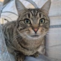 Photo of Evie   In Foster Care In Doncaster 