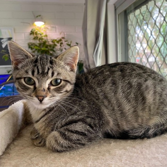 Photo of Calvin