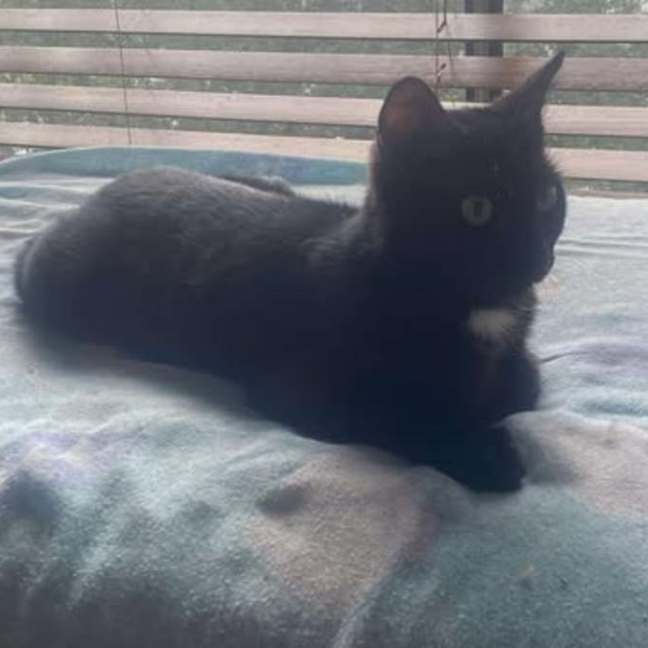 Photo of Princess
