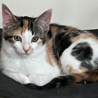 Photo of Lucia
