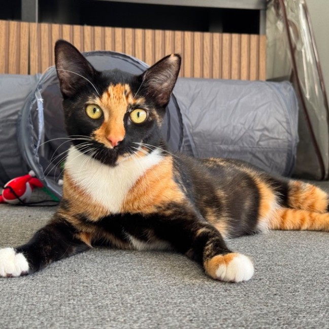 Photo of Nora 