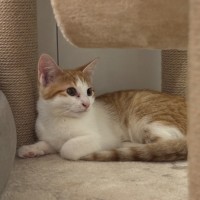 Photo of 🧡Arisaka🧡