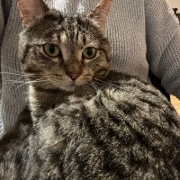 Photo of Unai The Mushroom