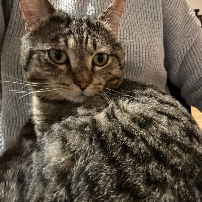 Photo of Unai The Mushroom