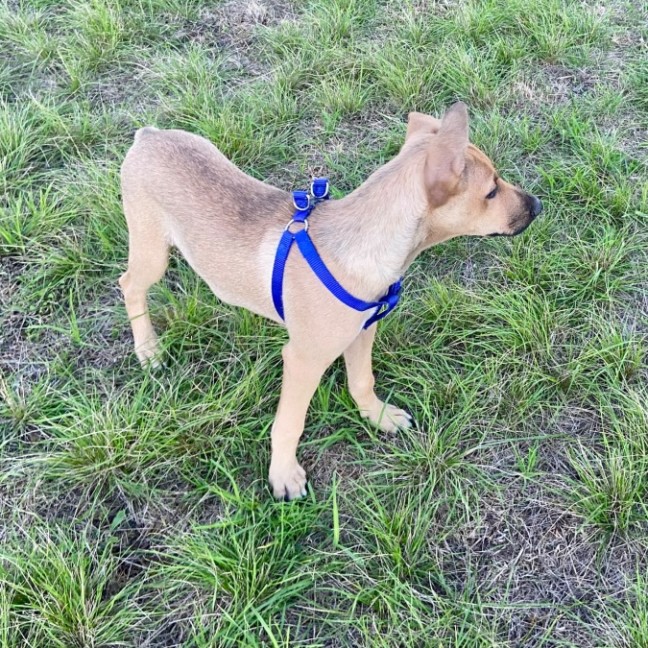 Photo of Jojo