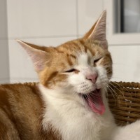 Photo of 🧡Reito🧡